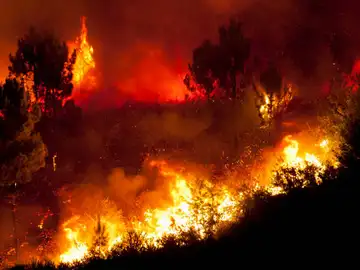 Los peores incendios en la historia de España: Joaquín Ramírez, experto en fuegos, advierte: ''Lo que viene va a ser mucho peor Los peores incendios en la historia de España: Joaquín Ramírez, experto en fuegos, advierte: ''Lo que viene va a ser mucho peor