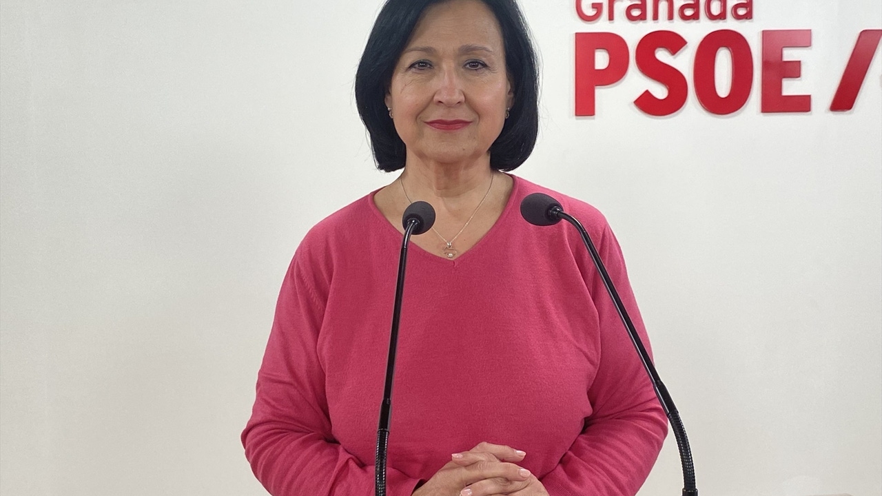 Del "puto amo" a "santo": una diputada del PSOE en Granada quiere "elevar a los altares" o "hacer santo" a Pedro Sánchez