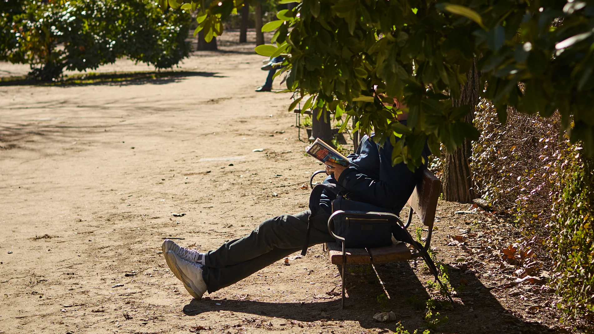 Gente leyendo libros junto a la biblioteca pública Eugenio Trías-Casa de Fieras de El Retiro.
