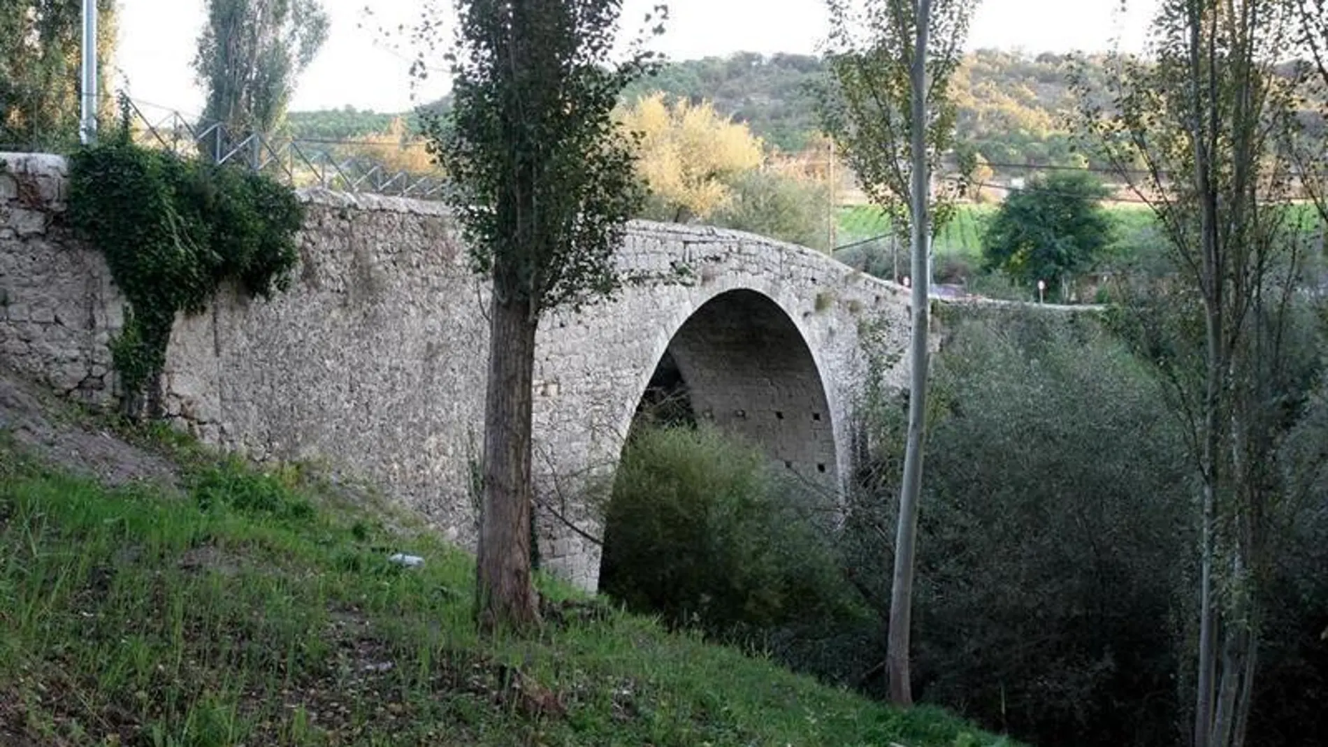 Puente de Cogeces de Íscar en la provincia de Valladolid