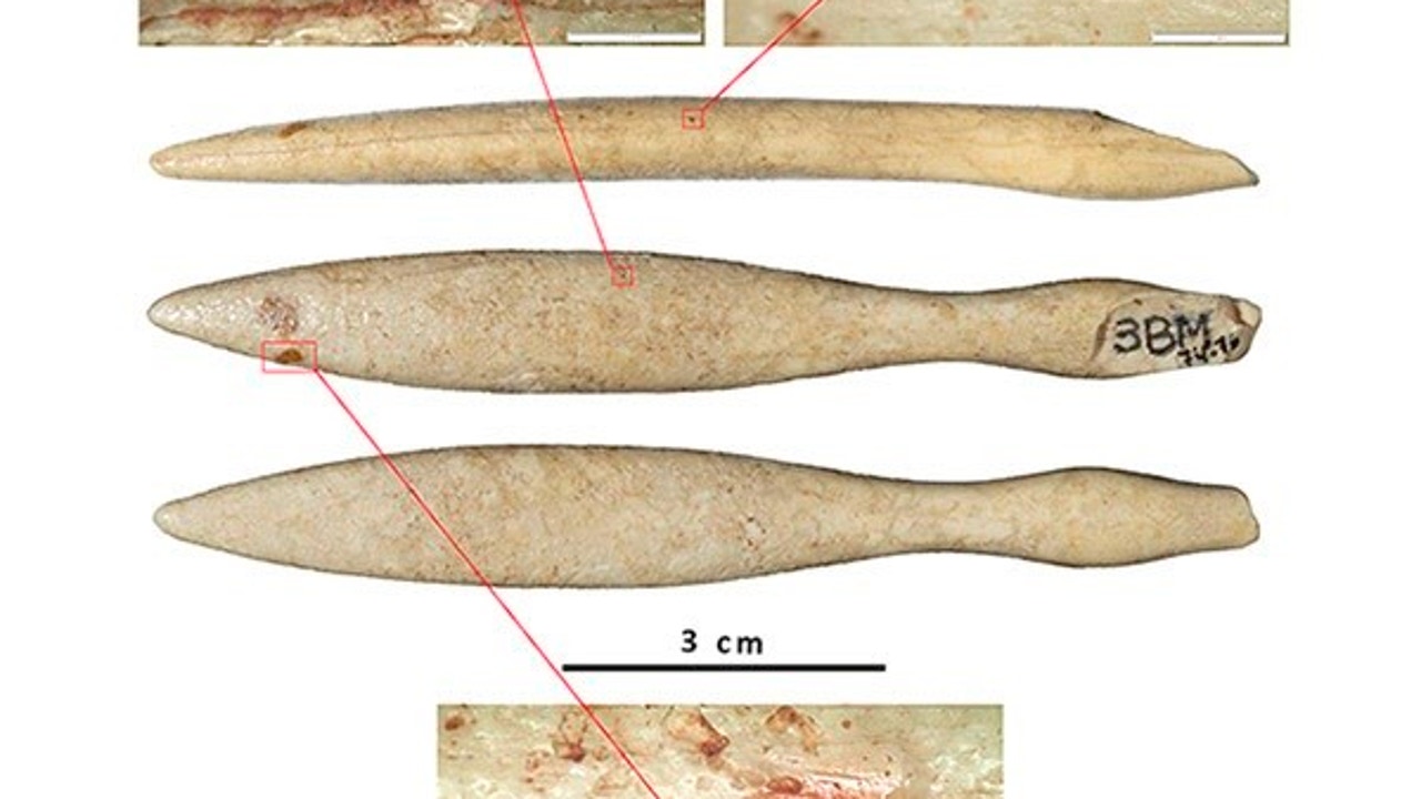 Un misterioso objeto de marfil encontrado en Barcelona confirma lo que sucedía en la Península Ibérica hace miles de años