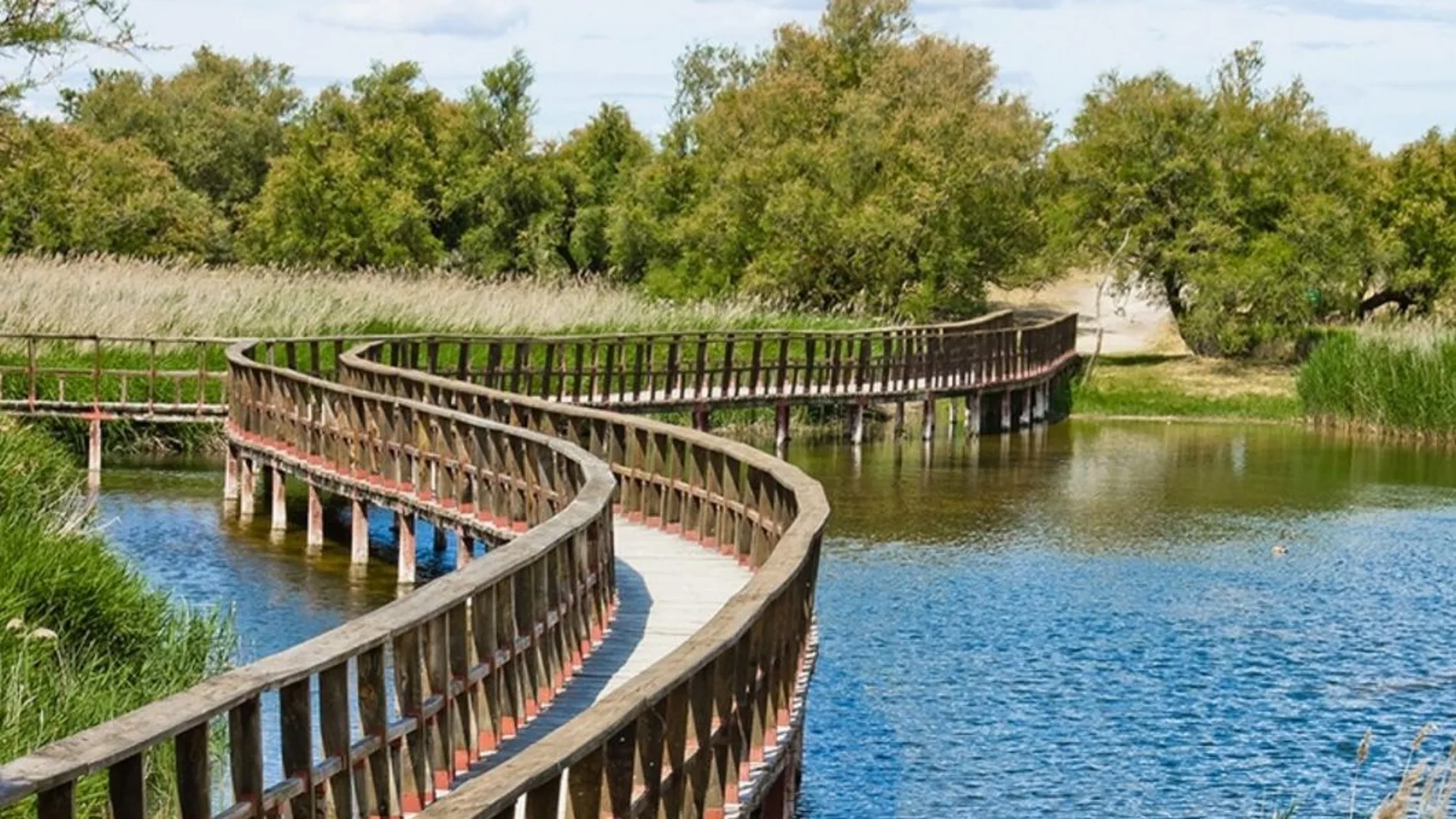 Tablas de Daimiel (Ciudad Real)