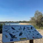 La laguna de Soto de las Cuevas, tras su restauración por parte de la Comunidad de Madrid