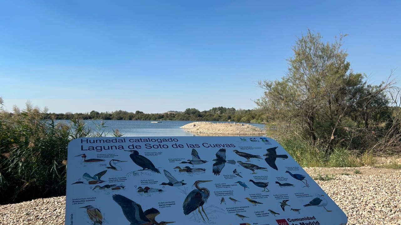 Una laguna restaurada en Aranjuez