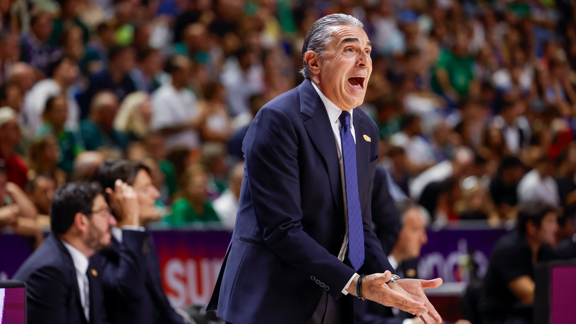 Sergio Scariolo, entrenador del Real Madrid