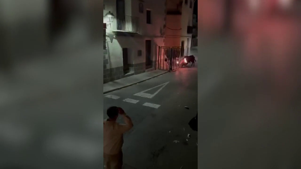 Un toro embolado rompe la barrera y se escapa en Jérica (Castellón)
