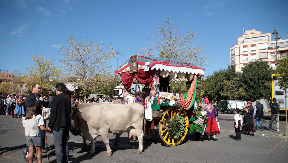 El desfile y concurso de carros engalanados completa la mañana del domingo en León en las fiestas de San Froilán
