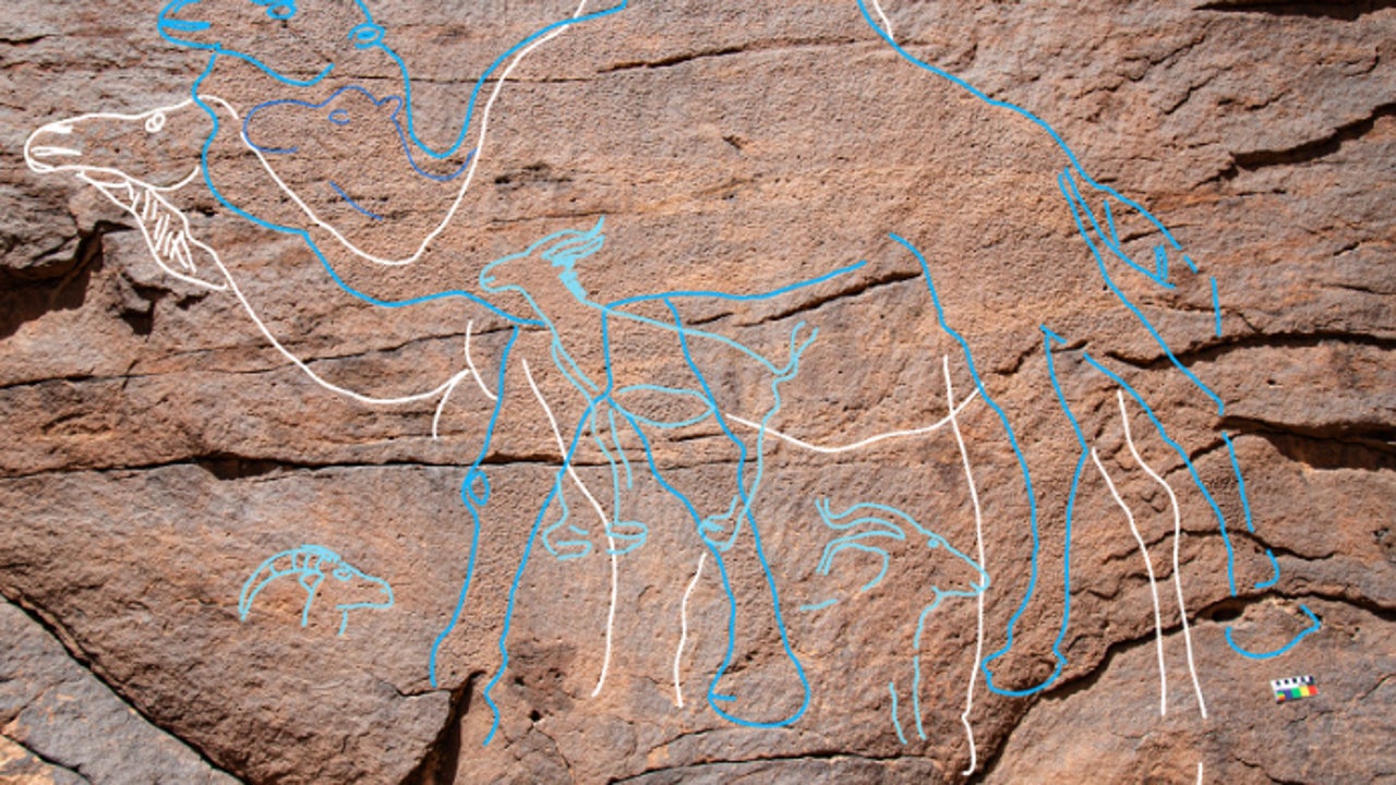 Descubren 176 extrañas pinturas prehistóricas que pudieron salvarnos la vida hace 12.000 años