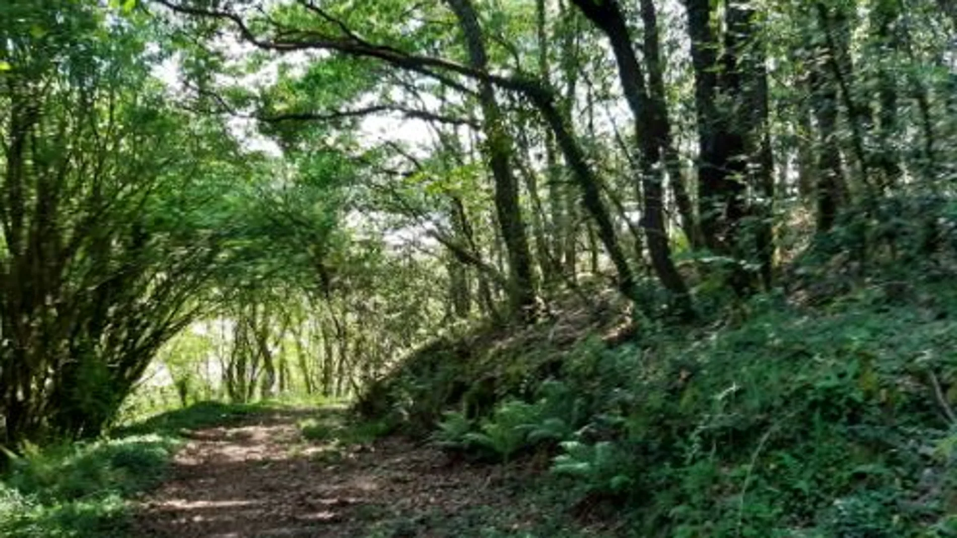 Monte Cernadas en Val do Dubra, A Coruña