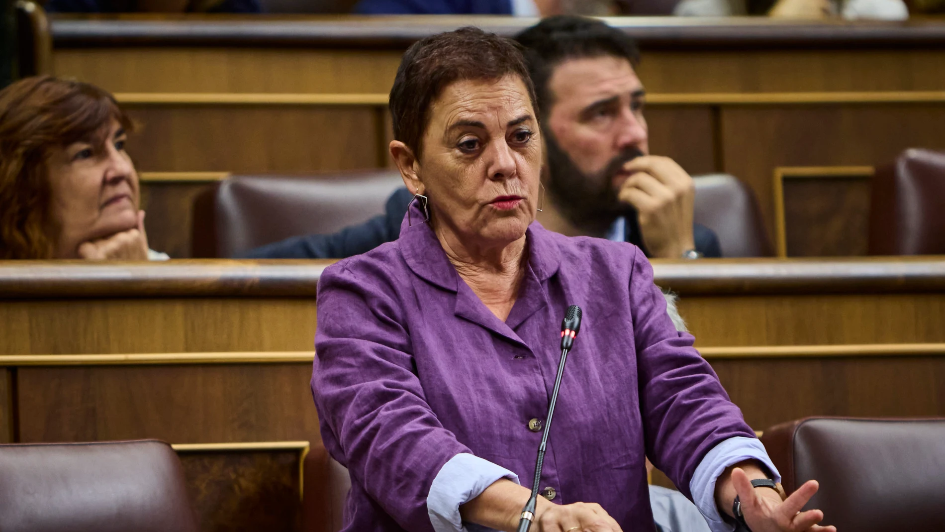 La portavoz de EH Bildu en el Congreso de los Diputados, Mertxe Aizpurua