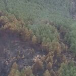 Incendio en Peñalba de la Sierra (Guadalajara)