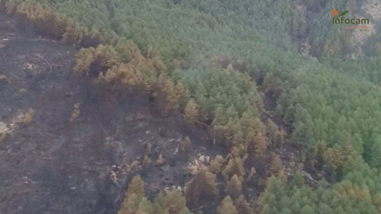 Peñalba de la Sierra inicia la "vuelta a la normalidad" tras estabilizar el fuego que ha arrasado más de 3.000 hectáreas