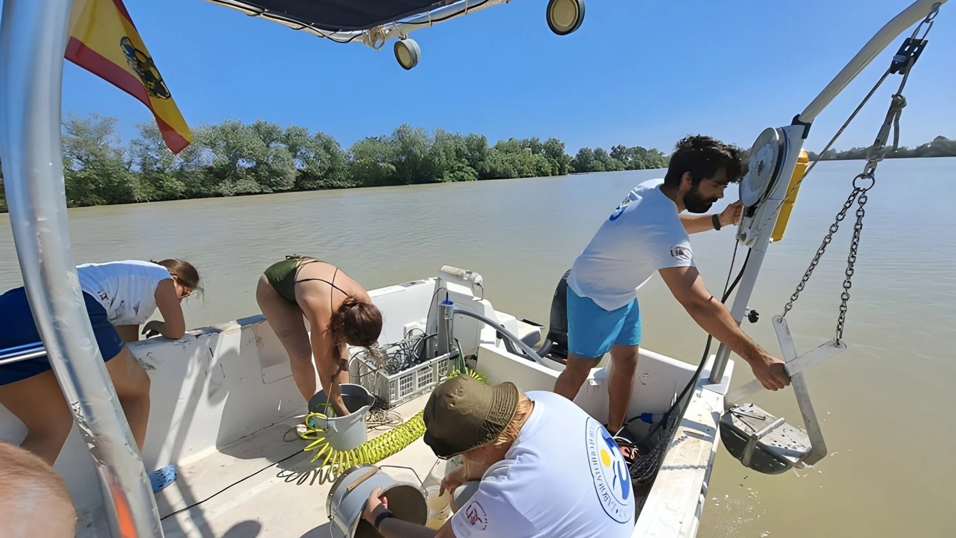 Un estudio detecta mayores concentraciones de metales en el estuario del Guadalquivir, con impacto en Doñana