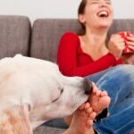 Qué significa que tu perro te lama los pies, según expertos