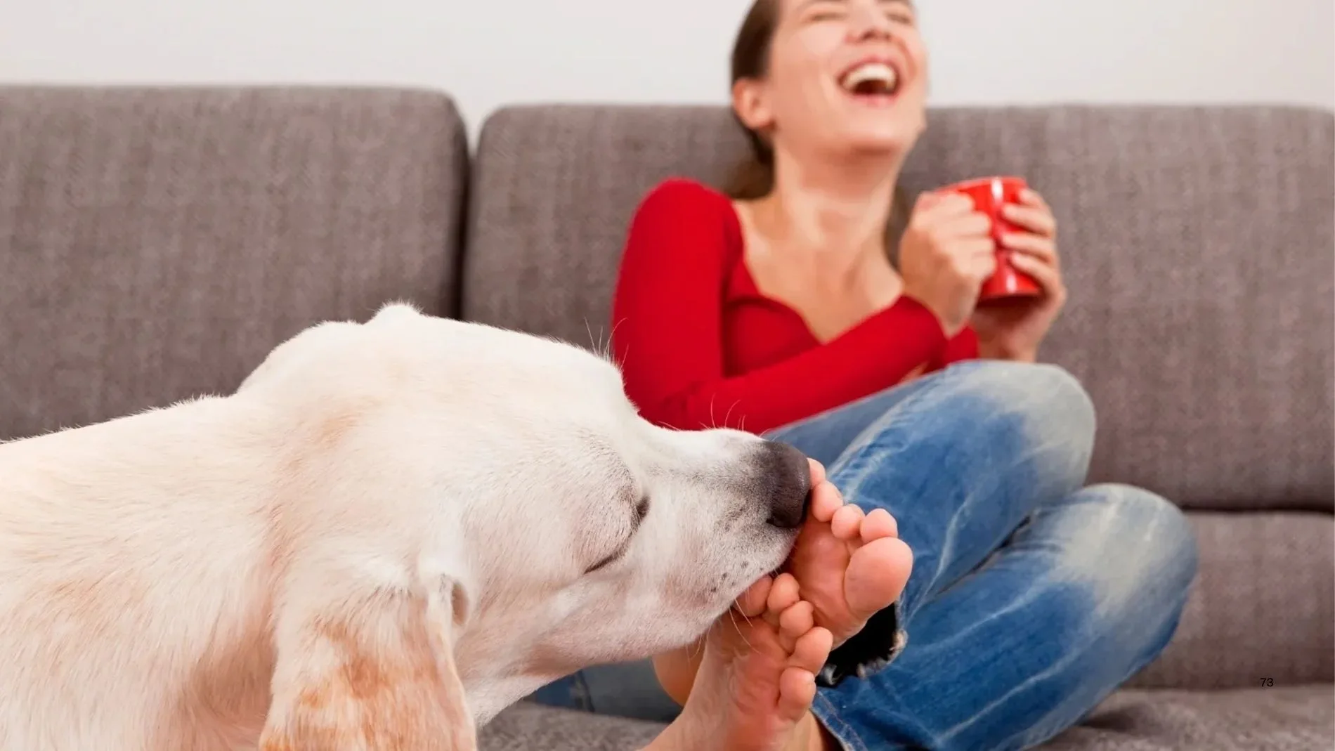 Qué significa que tu perro te lama los pies, según expertos
