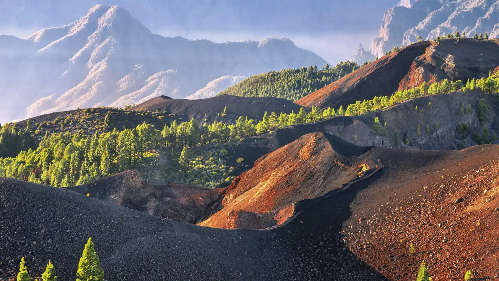 La Palma
