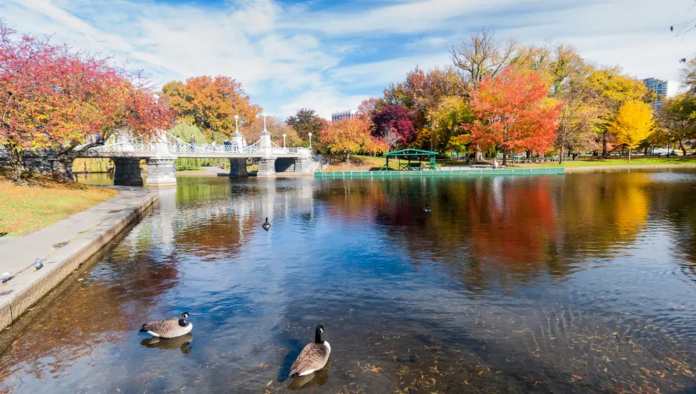 BOSTON