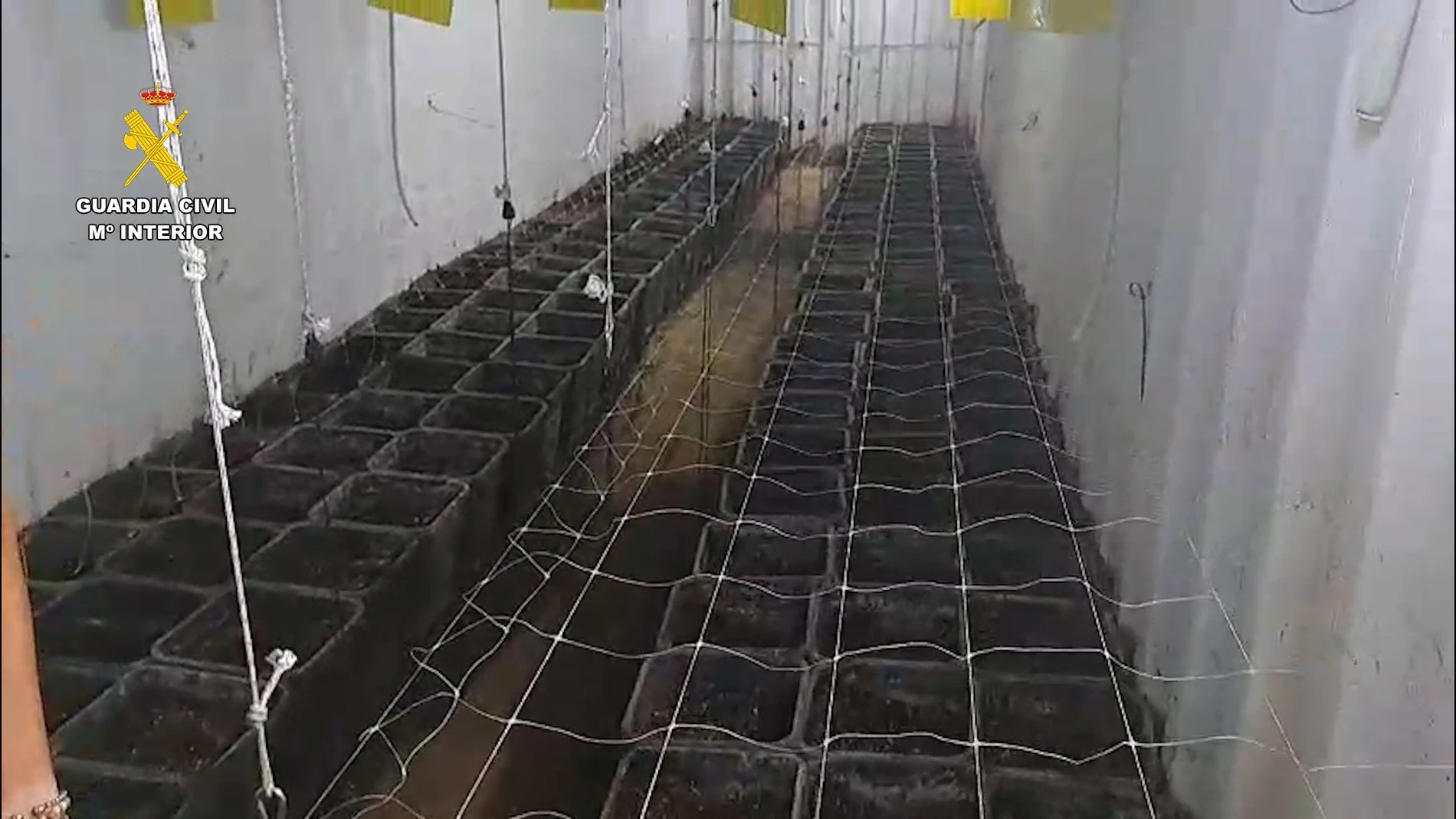 Plantación de marihuana hallada en un contenedor enterrado bajo una explotación avícola en Sanlúcar de Barrameda (Cádiz)REMITIDA / HANDOUT por GUARDIA CIVIL DE CÁDIZFotografía remitida a medios de comunicación exclusivamente para ilustrar la noticia a la que hace referencia la imagen, y citando la procedencia de la imagen en la firma01/10/2025