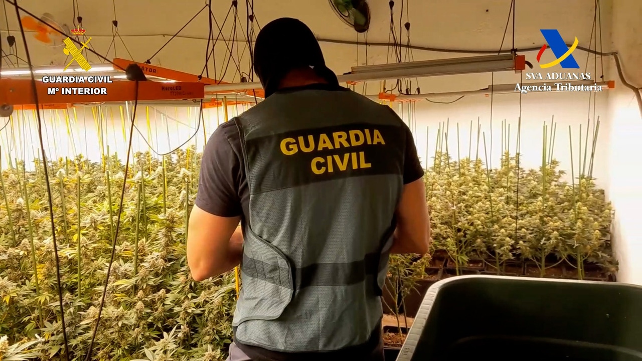 Desarticulada en Sevilla una organización dedicada al tráfico de drogas y distribución a países europeos