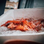 Imagen de archivo de gambas Imagen de archivo de gambas