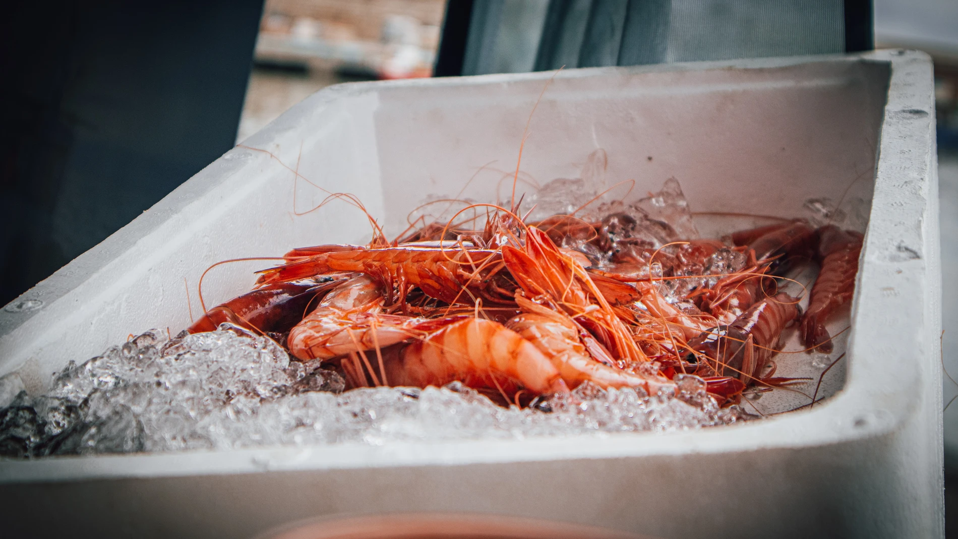Disfruta de las mejores gambas en la nueva capital de la gastronomía marinera catalana