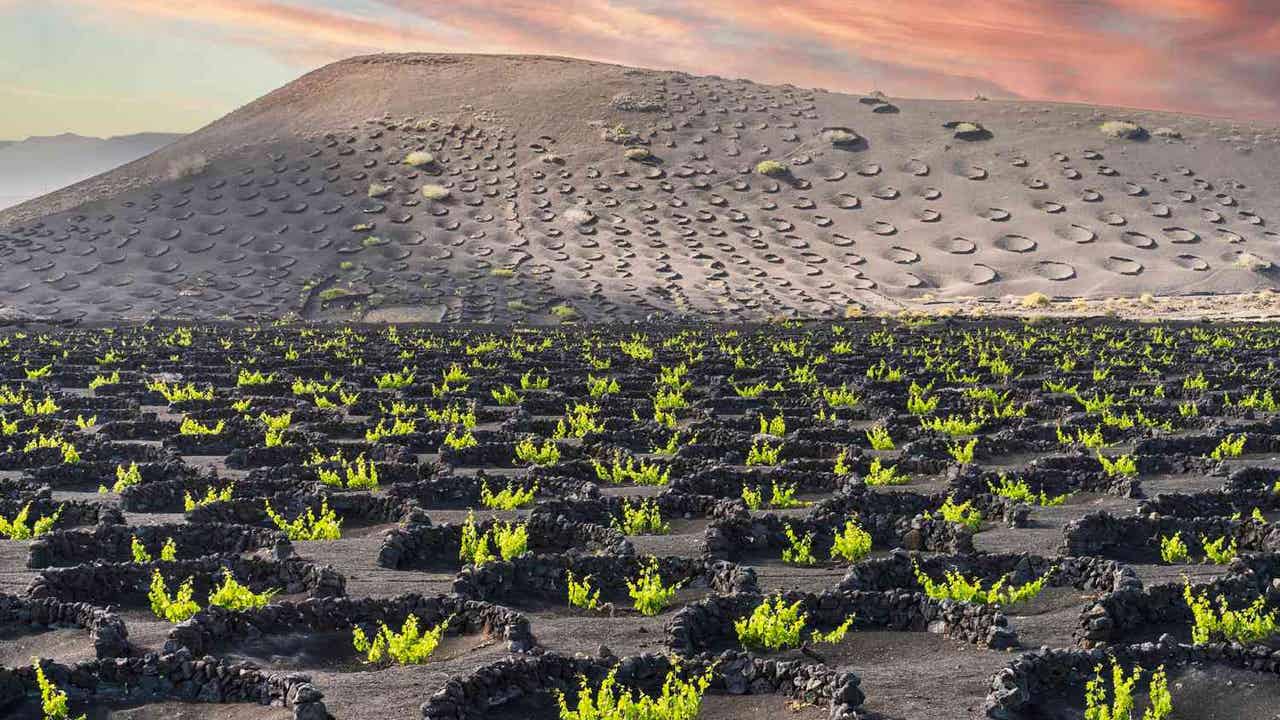 Este lugar de España aparece junto a Francia e Italia y es reconocido en Estados Unidos como destino mundial del vino