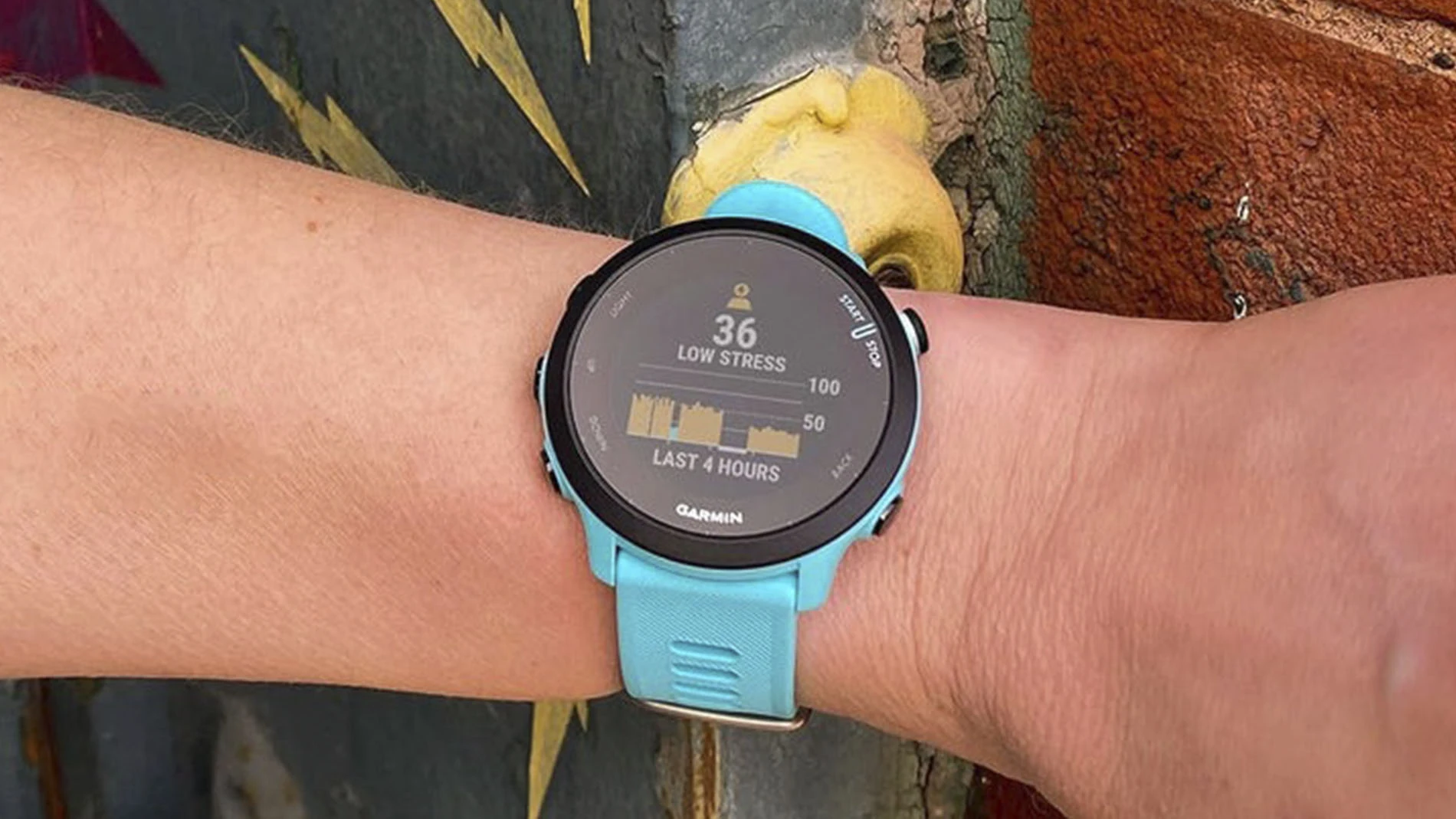 Garmin Forerunner 55