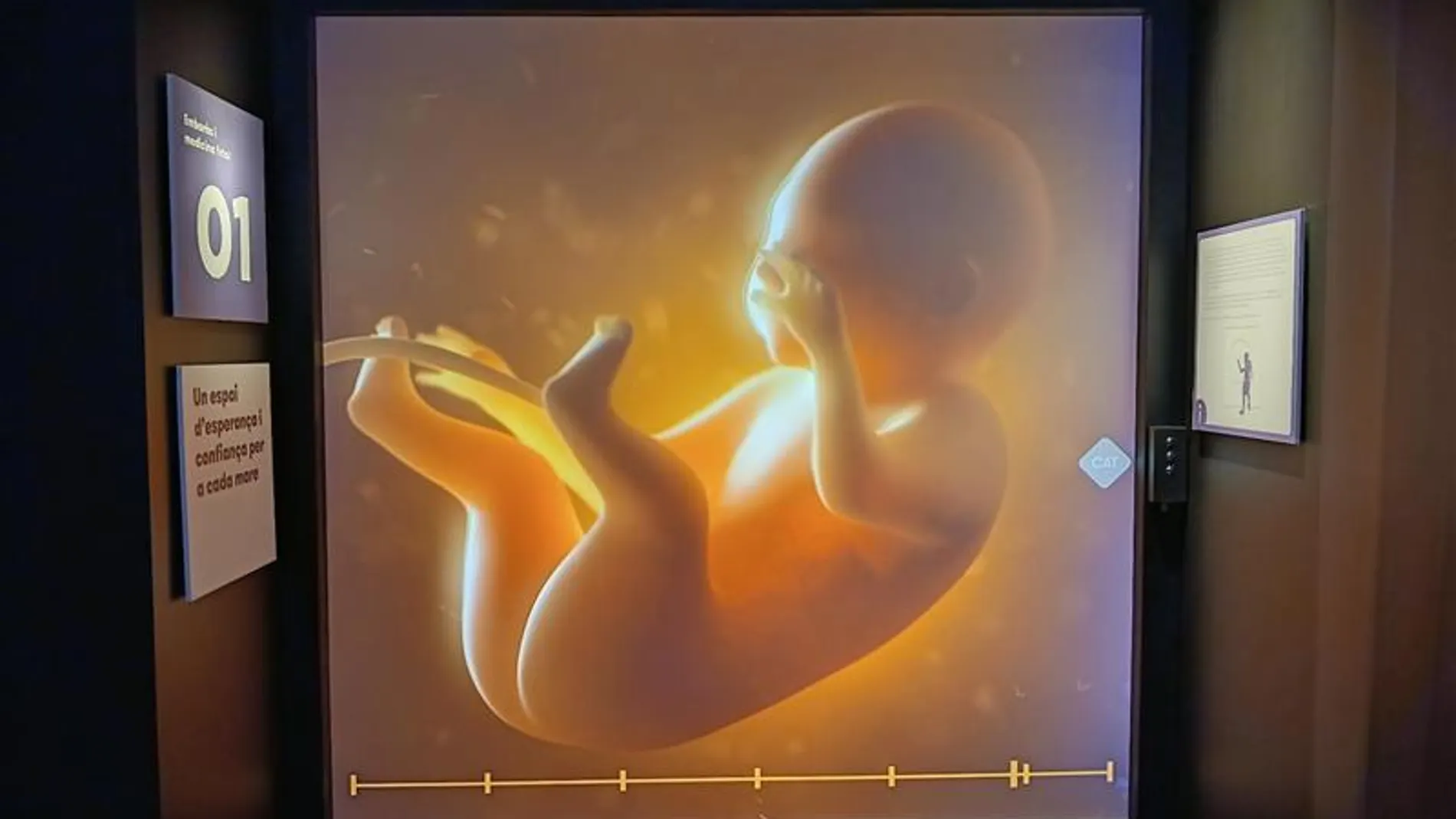 La exposición cuenta con cinco experiencias inmersivas de cinco etapas de la vida