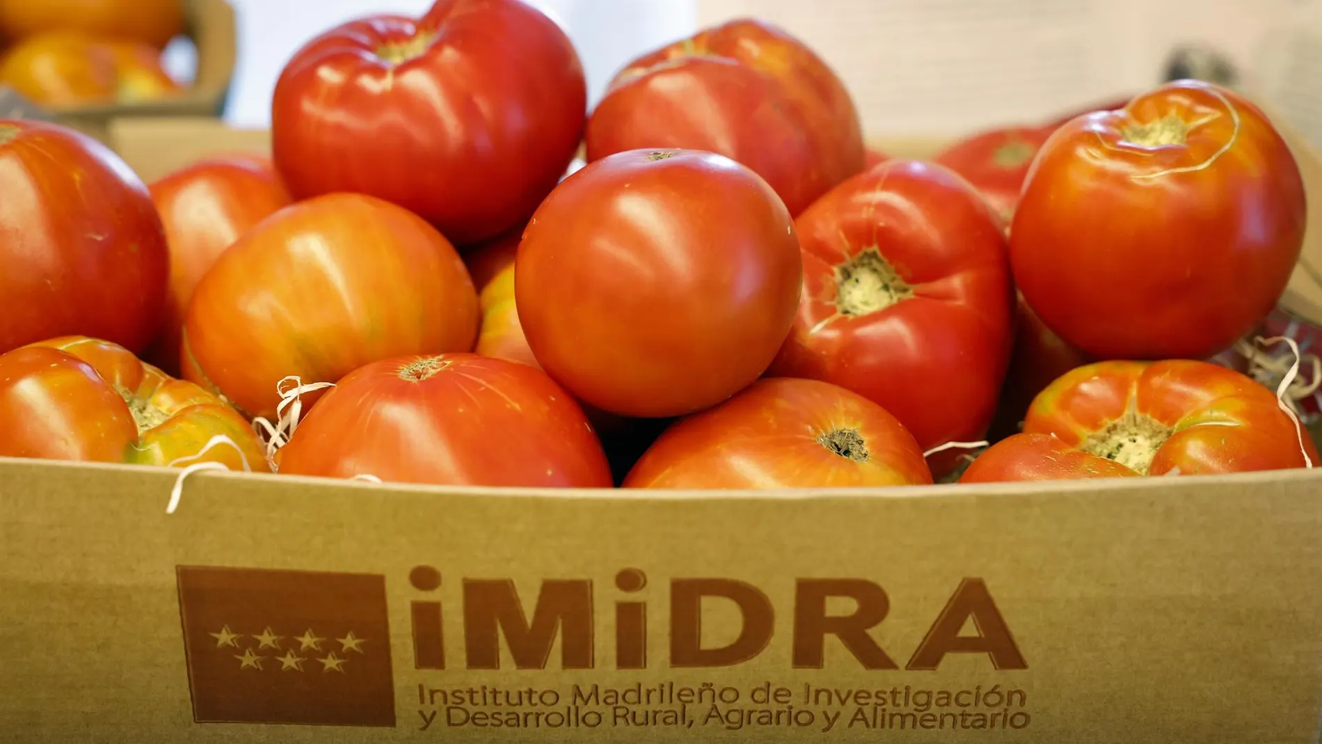 El Mercado de San Fernando albergará el Centro de Innovación Gastronómica de la Comunidad