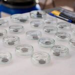 Los beneficiarios ser&aacute;n los integrantes de los m&aacute;s de 300 clubes de f&uacute;tbol que agrupa ProLiga