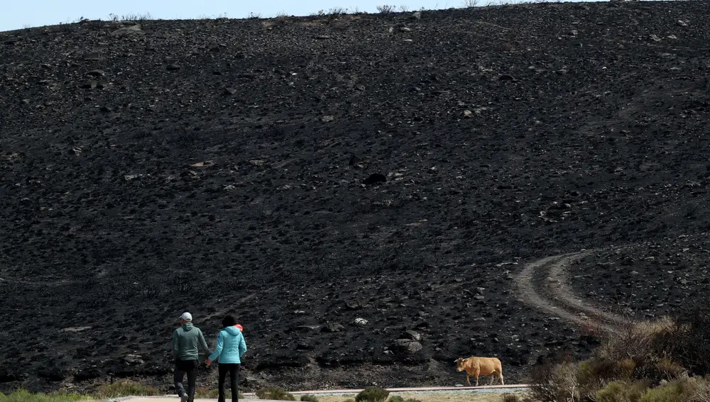 Preocupación en expertos y vecinos por el efecto de las lluvias en zonas afectadas por los incendios