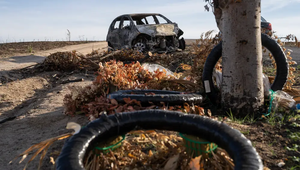 El coche de Miguel de las Heras que chocó con Mircea antes de morir. Detras del árbol, una corona de flores que llevó Elena, la mujer.