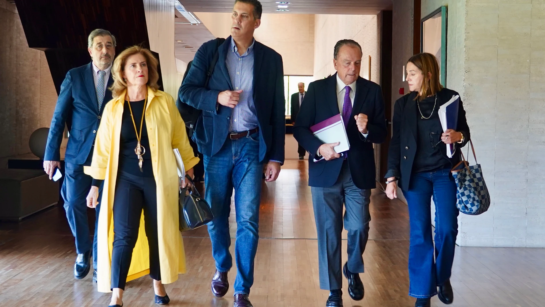 Mario Amilivia antes de comparecer en las Cortes regionales