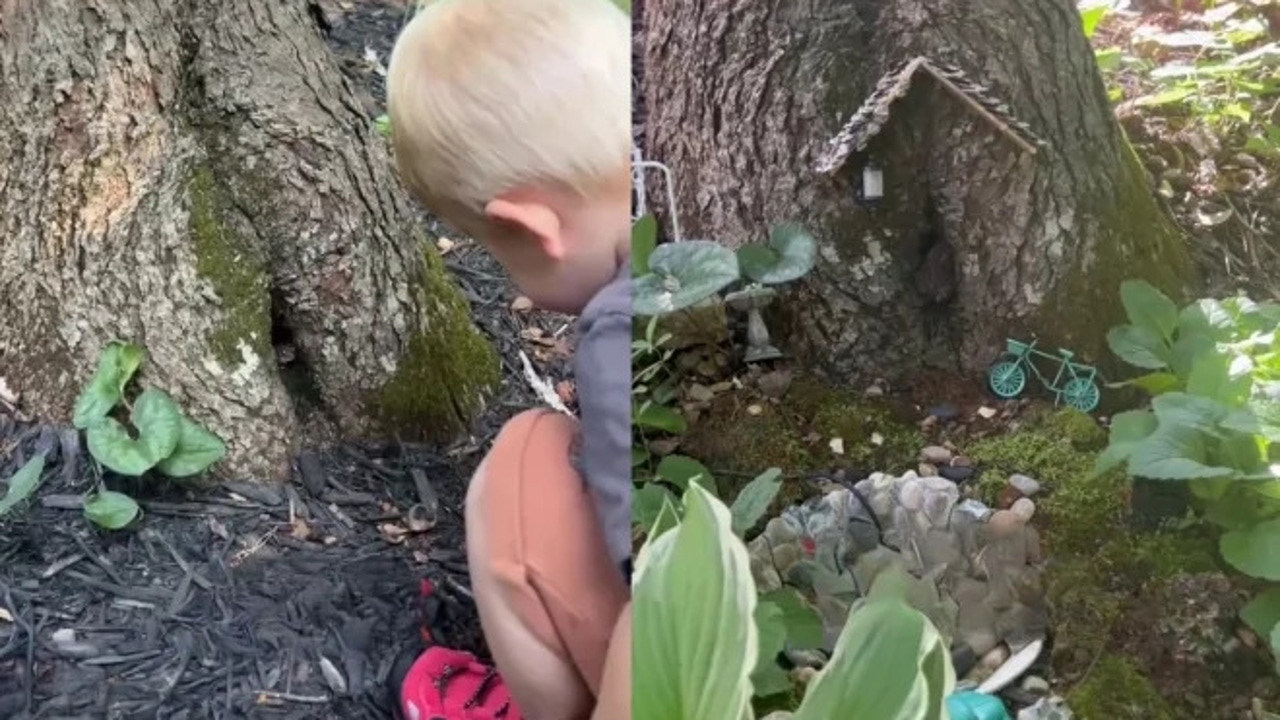 Una madre descubre la amistad de su hijo con un animal que vivía dentro de un árbol y juntos crean el hogar perfecto para su amigo