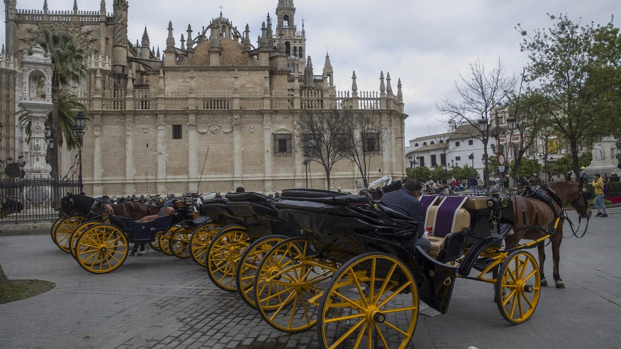 Podemos propone una consulta sobre el futuro de los coches de caballos en Sevilla