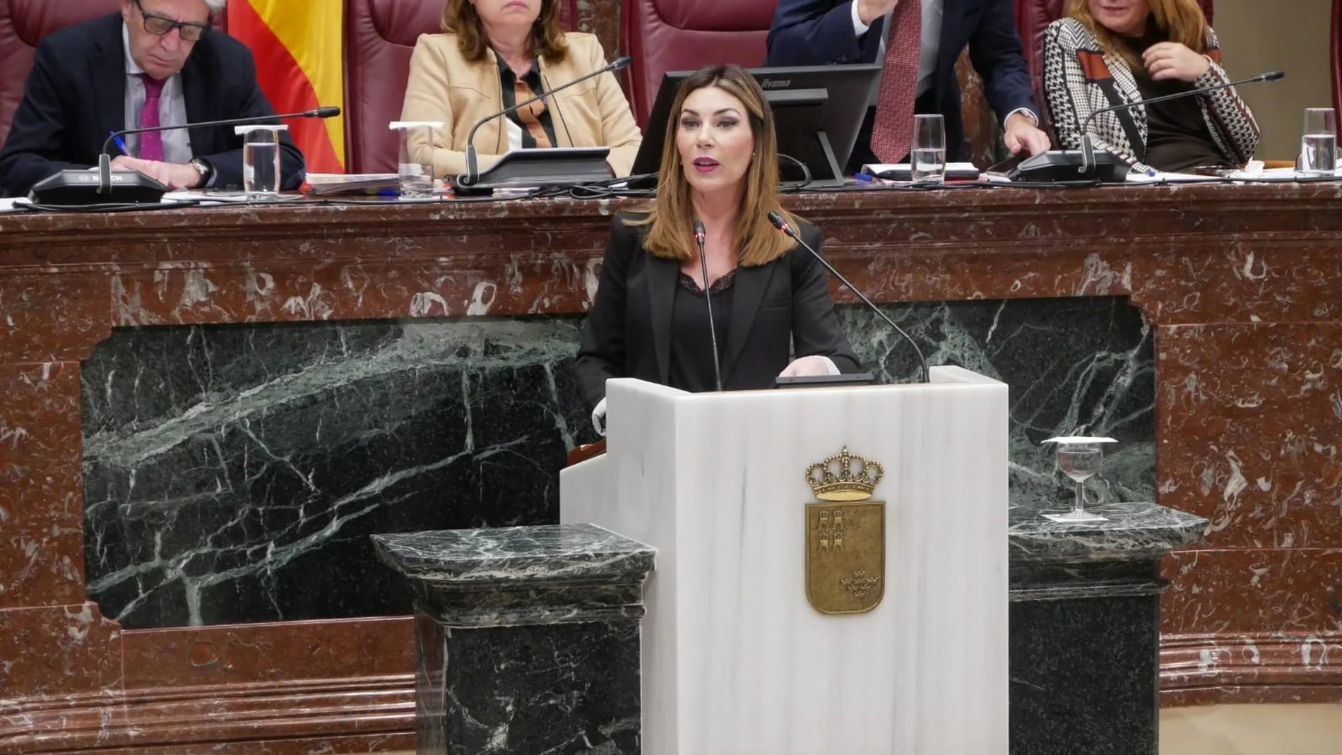 MURCIA.-Ruiz (PP): "El PSOE utiliza la salud de las mujeres para tapar su desprotección a las víctimas de violencia de género"