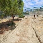La Junta colocará sensores de fibra óptica para monitorizar a la fauna silvestre y mejorar la seguridad vial en el área de reintroducción del lince ibérico en el Cerrato palentino
