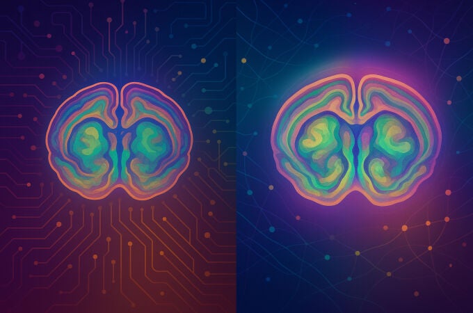 Comparativa de los datos obtenidos con IA (izq) y con métodos tradicionales