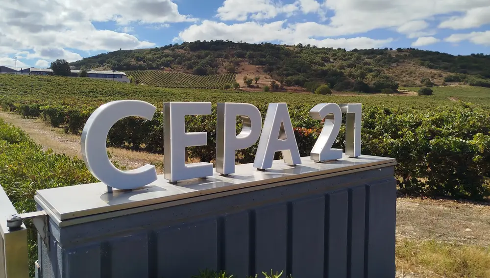 Entrada a los viñedos de la bodega Cepa21