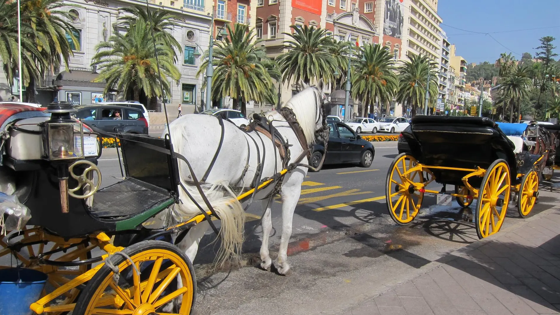 Coches de caballo en una imagen de archivo