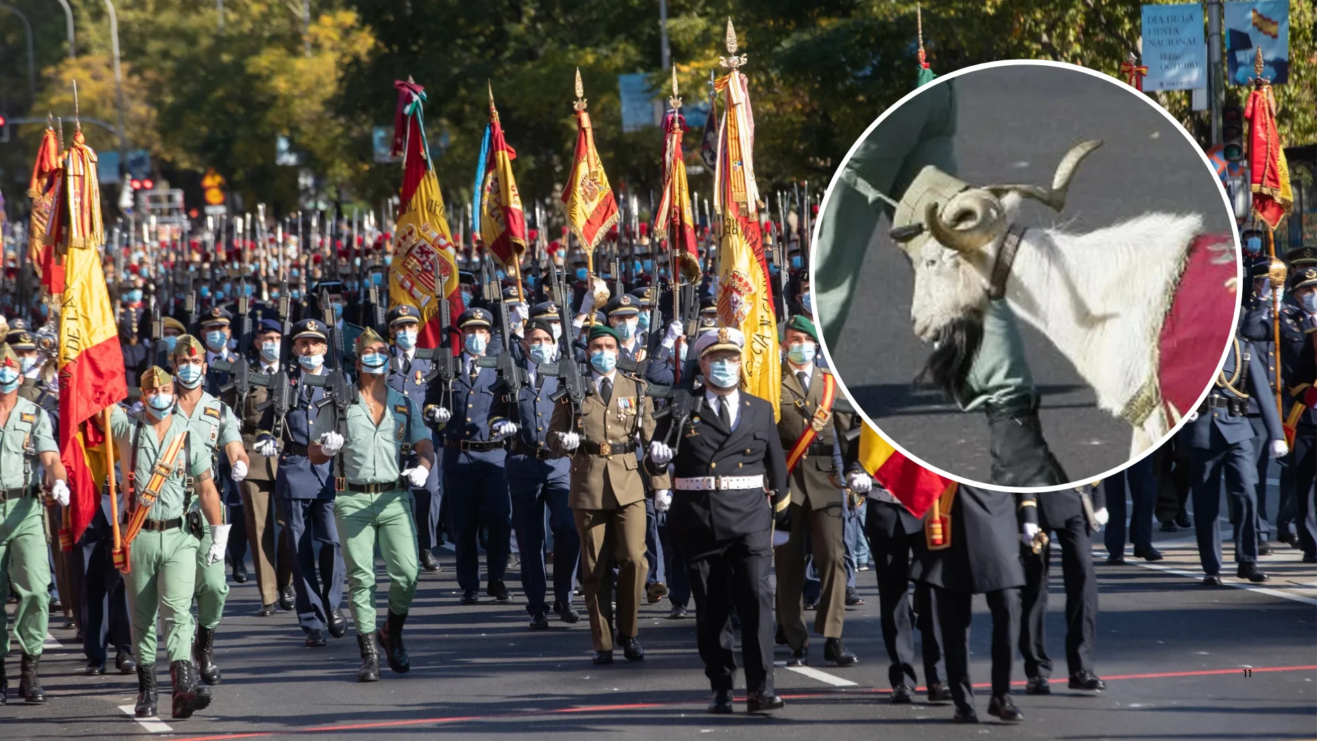 La cabra de la Legión: por qué desfila el 12 de octubre, cuál es su rango militar y otras curiosidades