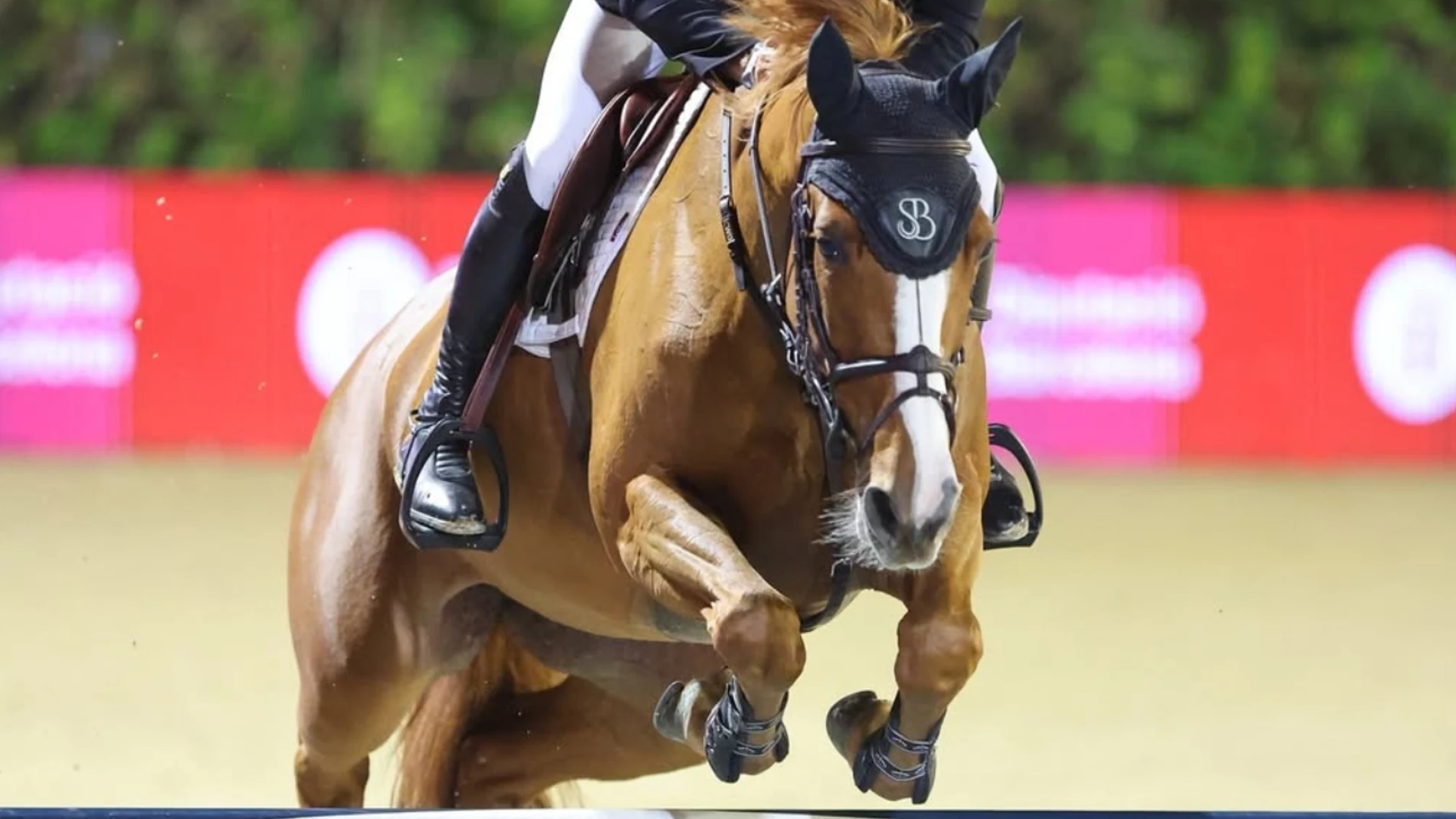 "Hello Folie", con Scott Brash