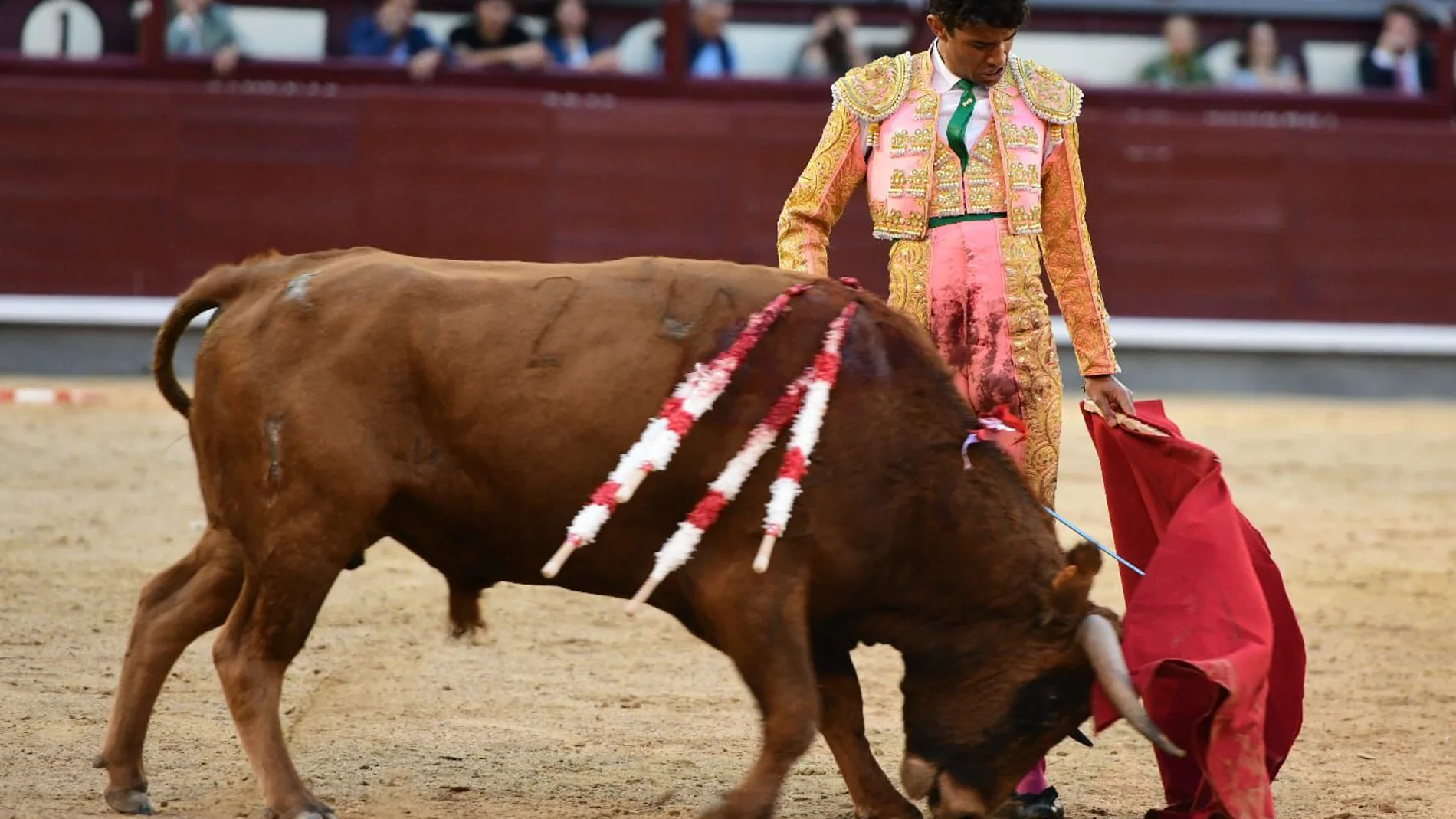 Samuel Castrejón
