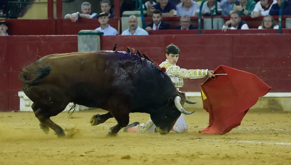 Corrida de Feria del Pilar