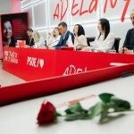 Pedro S&aacute;nchez preside la reuni&oacute;n de la Comisi&oacute;n Federal Ejecutiva del PSOE