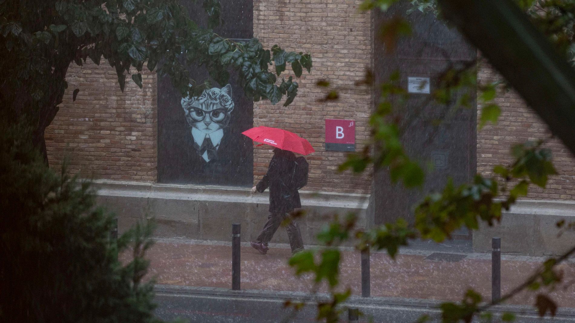 MURCIA, 09/10/2025.- Una mujer se protege de la intensa lluvia con un paraguas este jueves en Murcia. La Agencia Estatal de Meteorología (Aemet) ha elevado a nivel rojo el aviso para mañana viernes por lluvia y tormentas de riesgo extremo en el Campo de Cartagena y Mazarrón. El aviso rojo se corresponde al nivel máximo de alerta meteorológica. EFE/Marcial Guillén