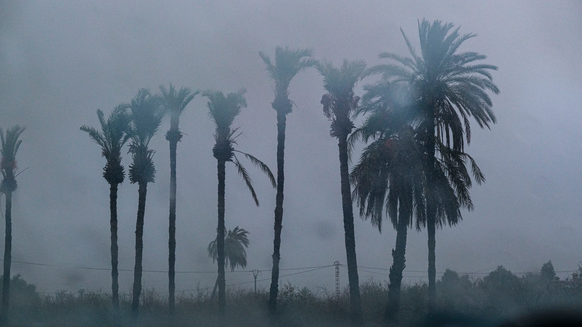 FOTODELDÍA LA FOIA (ELX-ALICANTE), 09/10/2025.- Fuerte tormenta registrada este jueves en La Foia, en Elx. La Agencia Estatal de Meteorología (Aemet) ha establecido para este viernes, desde las 10 de la mañana a la medianoche, el aviso rojo en el litoral sur de Alicante y norte de Murcia por lluvias que pueden acumular 60 litros por metro cuadrado en una hora y 180 litros por metro cuadrado en doce horas. EFE/ Pablo Miranzo