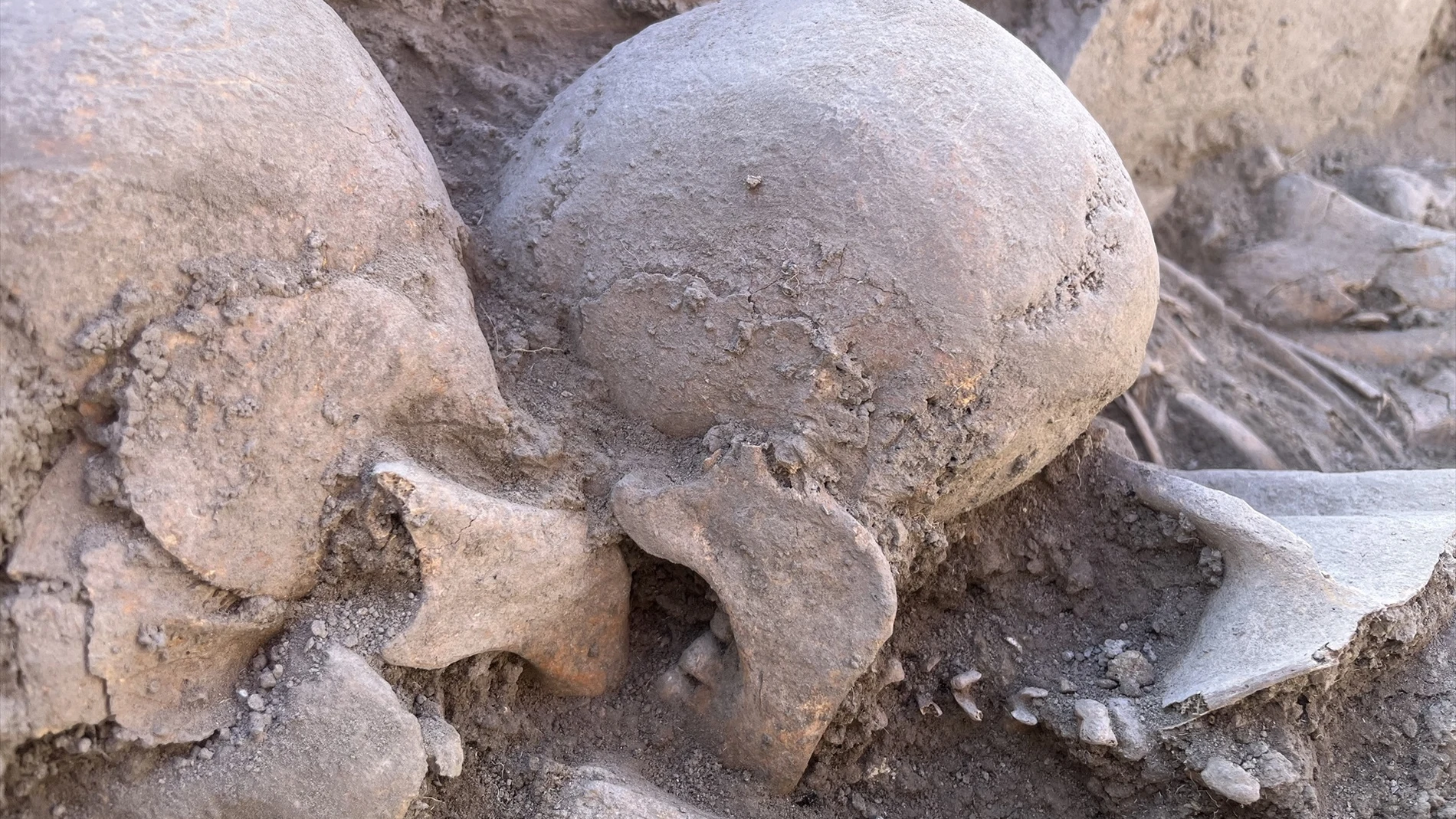 Restos de un enterramiento prehistórico localizado en el Cerro del Alcázar