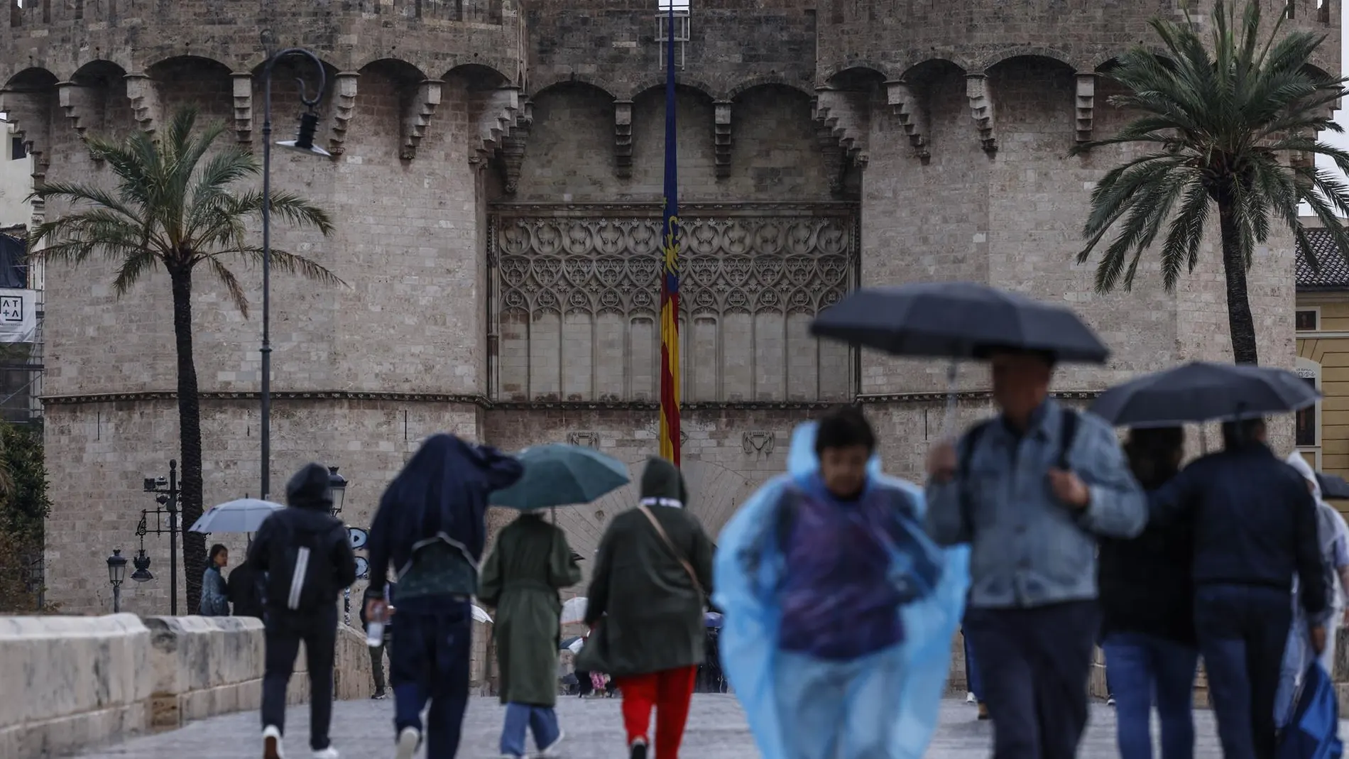 Caída de árboles, achiques y rescates en la Comunitat Valenciana como consecuencia de las fuertes lluvias