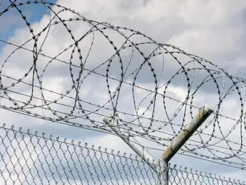 Piden prisión preventiva para Reyes Rigo, la activista española acusada de morder a un policía de Israel Piden prisión preventiva para Reyes Rigo, la activista española acusada de morder a un policía de Israel